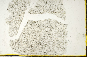 Plane Polarized, ED332