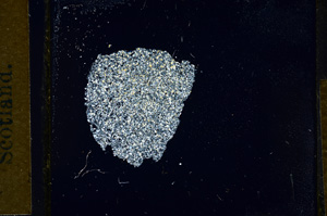 Cross Polarized, ED353