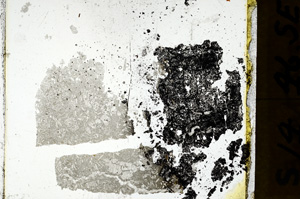 Plane Polarized, ED357