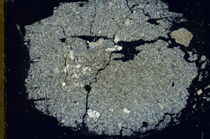 Cross Polarized, ED449