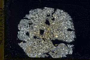 Cross Polarized, ED453