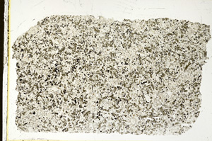 Plane Polarized, ED455