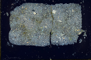 Cross Polarized, ED464