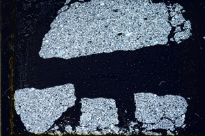 Cross Polarized, ED474