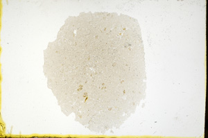 Plane Polarized, ED483