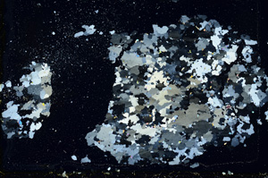 Cross Polarized, ED500