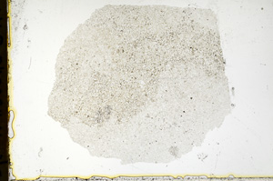 Plane Polarized, ED501