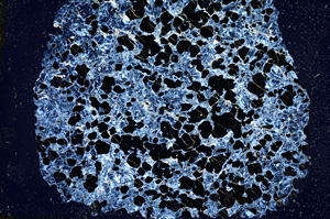 Cross Polarized, ED518