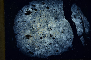 Cross Polarized, ED520