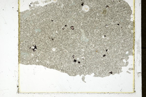 Plane Polarized, ED576