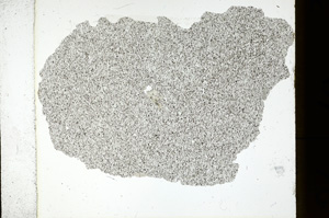 Plane Polarized, ED580