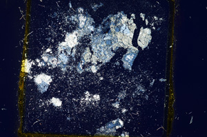 Cross Polarized, ED692