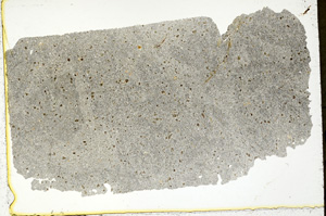 Plane Polarized, ED730