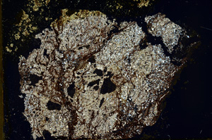 Cross Polarized, ED745