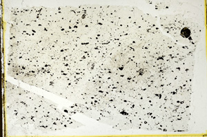 Plane Polarized, ED756