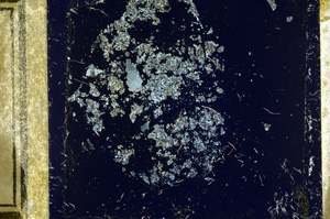 Cross Polarized, ED779