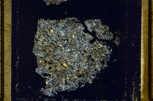 Cross Polarized, ED781