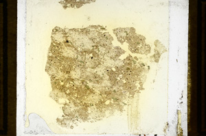 Plane Polarized, ED781