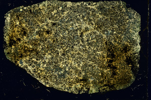 Cross Polarized, ED793