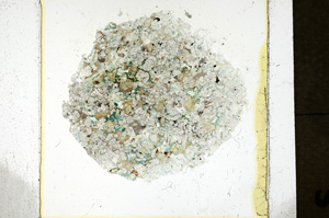 Plane Polarized, ED806