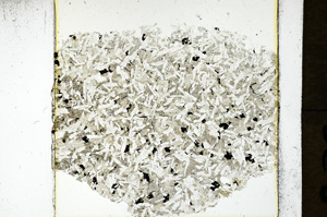 Plane Polarized, ED846