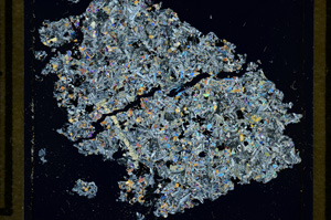 Cross Polarized, ED849