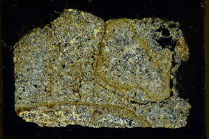 Cross Polarized, ED860