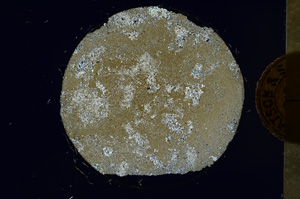 Cross Polarized, ED869