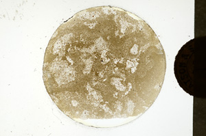 Plane Polarized, ED869