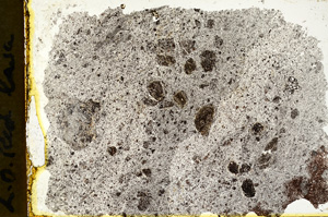 Plane Polarized, ED920