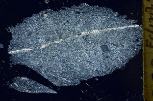 Cross Polarized, ED925