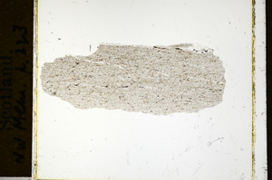 Plane Polarized, ED943