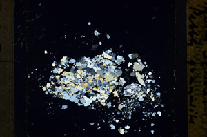 Cross Polarized, ED966