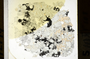 Plane Polarized, ED1022