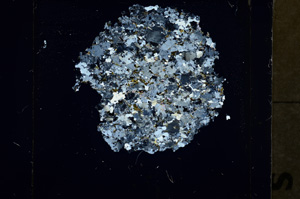 Cross Polarized, ED1023