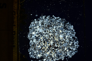 Cross Polarized, ED1035