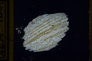 Cross Polarized, ED1070