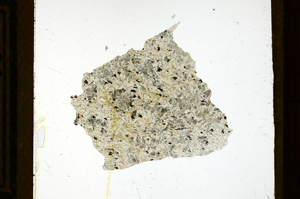 Plane Polarized, ED1079