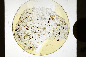 Plane Polarized, ED1094