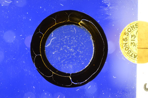 Cross Polarized, ED1119