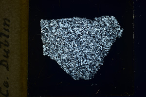 Cross Polarized, ED1121