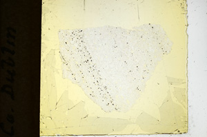 Plane Polarized, ED1121