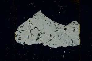 Cross Polarized, ED1129