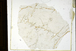 Plane Polarized, ED1140