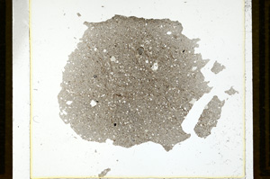 Plane Polarized, ED1141