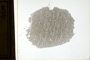 Plane Polarized, ED1142