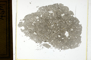 Plane Polarized, ED1149