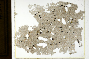 Plane Polarized, ED1152