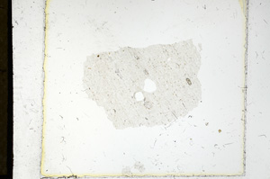 Plane Polarized, ED1180