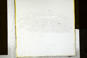 Plane Polarized, ED1187